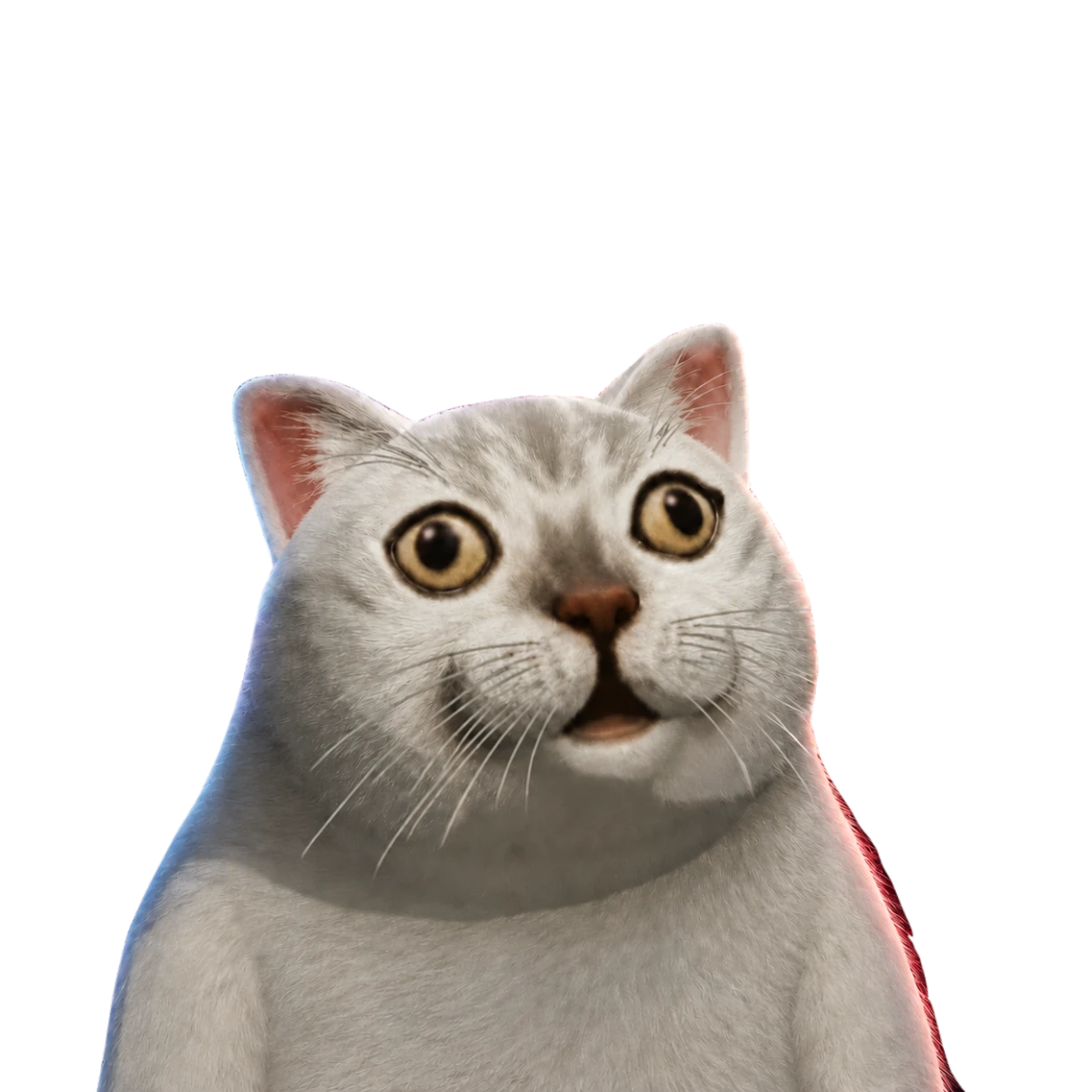 Crisis Cat